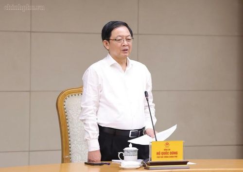 Phó Thủ tướng Hồ Quốc Dũng yêu cầu các Bộ, ngành, cơ quan liên quan sau cuộc họp triển khai ngay những nhiệm vụ được giao, với tinh thần quyết liệt, khẩn trương. Ảnh: VGP.