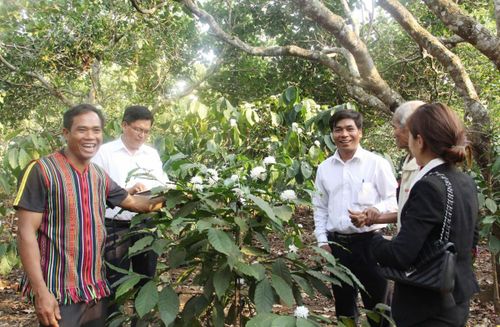 Hoạt động hiệu quả của các Tổ TK&VV góp phần nâng cao chất lượng tín dụng chính sách ở Lâm Đồng.