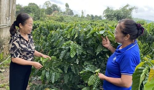 Bà Phùng Thị Liên (phải), ở thôn Đạ R’Kốh, xã Phú Sơn Lâm Hà, gần 20 năm đồng hành với NHCSXH trong vai trò Tổ trưởng Tổ TK&VV.