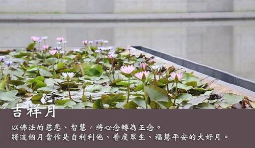 Ảnh sưu tầm