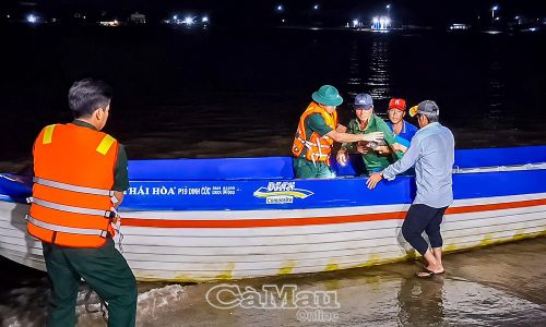 Cán bộ, chiến sĩ Ðồn Biên phòng Gành Hào hỗ trợ sơ cứu ban đầu và đưa thuyền viên N.V.N bị bệnh vào bờ, chuyển đến trạm y tế để tiếp tục điều trị. (Ảnh chụp ngày 7/1/2026, do đơn vị cung cấp).