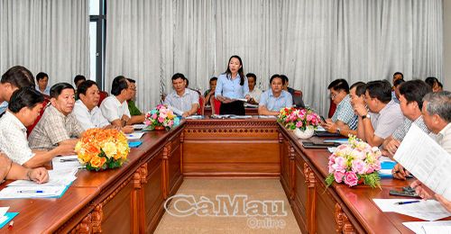 Bà Hồ Thị Hồng Lý, Phó Chi cục trưởng Chi cục Quản lý đất đai (Sở Nông nghiệp và Môi trường), phát biểu ý kiến tại cuộc họp.