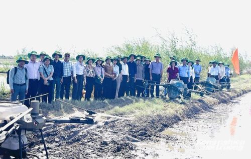 Đại biểu và nông dân tham quan mô hình trình diễn 5 ha lúa chất lượng cao, phát thải thấp tại ấp Bình Thới. Ảnh: Lê Hoàng Vũ.