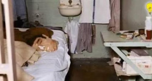 Nhưng sau đó, dấu vết về số phận của họ lại trở nên mờ nhạt.