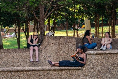 Một số người đọc sách tại công viên Meridian Hill. Ảnh: Washington Post. 