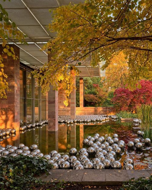  Narcissus Garden (tạm dịch: Khu vườn ái kỷ) lần đầu xuất hiện năm 1966 bên ngoài khuôn khổ chính thức của Venice Biennale và trở thành một trong những tác phẩm mang tính biểu tượng của Kusama. Theo MoMA, phiên bản ban đầu gồm khoảng 1.500 quả cầu bạc bằng nhựa được trải trên bãi cỏ trước gian triển lãm Italy, phản chiếu cảnh vật và hình ảnh của chính người xem. Kusama mặc kimono vàng, đứng giữa tác phẩm và đề nghị bán từng quả cầu với giá 1.200 lire (khoảng 2 USD khi đó), bên cạnh tấm biển mang thông điệp “Your Narcissism for Sale” (tạm dịch: Sự ái kỷ của bạn đang được bán). Hành động này biến tác phẩm thành lời bình luận về sự ái kỷ, giá trị của nghệ thuật và quá trình thương mại hóa trong thế giới nghệ thuật. Ảnh: @mark_niedermann.