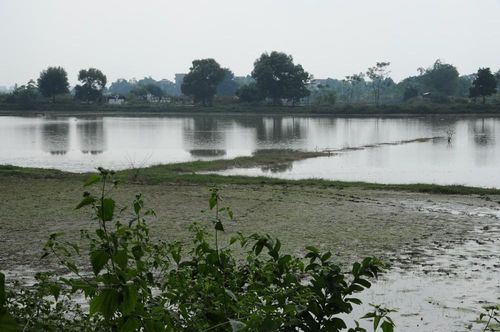 Đầm Cả tại Cổ Loa - xưa từng là một phần quan trọng trong hệ thống phòng thủ và giao thông đường thủy tại đây. Ảnh: BQL
