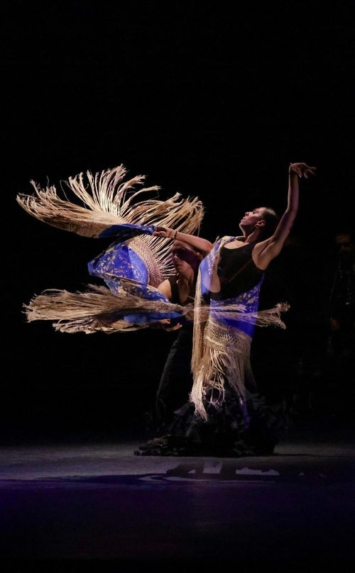 Nghệ sĩ biểu diễn tại đêm bế mạc Lễ hội Flamenco quốc tế tại thủ đô Mexico City, Mexico. Ảnh: THX/TTXVN phát