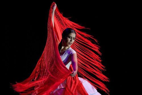 Nghệ sĩ biểu diễn tại đêm bế mạc Lễ hội Flamenco quốc tế tại thủ đô Mexico City, Mexico. Ảnh: THX/TTXVN phát