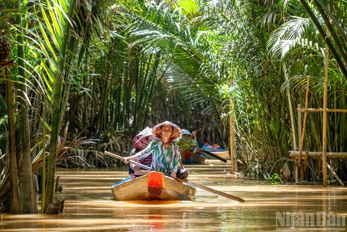 Một trong những hoạt động thú vị và đậm chất miền Tây khi đến cù lao Thới Sơn chính là trải nghiệm ngồi xuồng ba lá len lỏi trên rạch Bà Ngoạn.