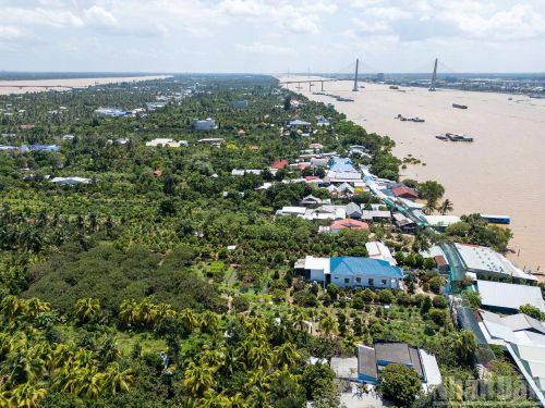  Nằm giữa dòng sông Tiền hiền hòa, cù lao Thới Sơn từ lâu trở thành điểm đến du lịch sinh thái﻿ hấp dẫn, mang đậm bản sắc miền Tây sông nước. 