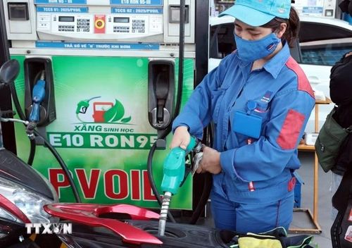  Chiều nay (27-8), giá một số mặt hàng xăng dầu giảm nhẹ. Ảnh: TTXVN 