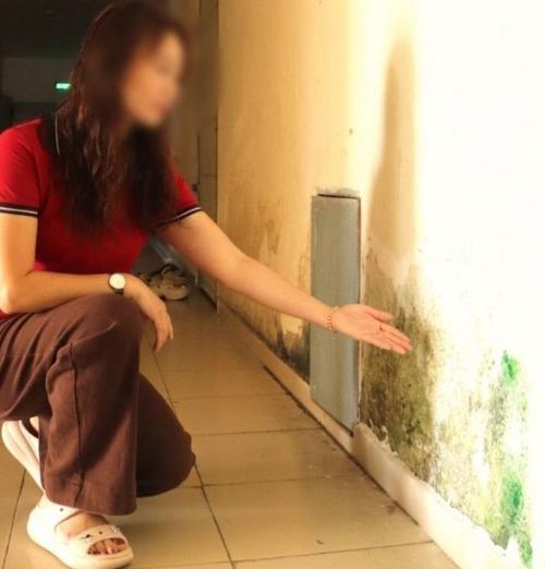  Chân tường khu hành lang bị ẩm mốc. Ảnh: QUANG VŨ 
