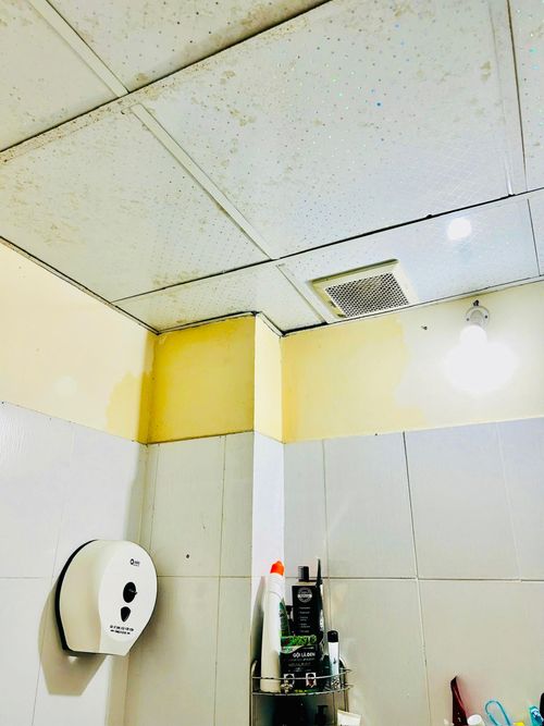  Rất nhiều khu vực nhà vệ sinh của các căn hộ đều bị rò rỉ nước, thấm vàng cả tường. Ảnh: QUANG VŨ 