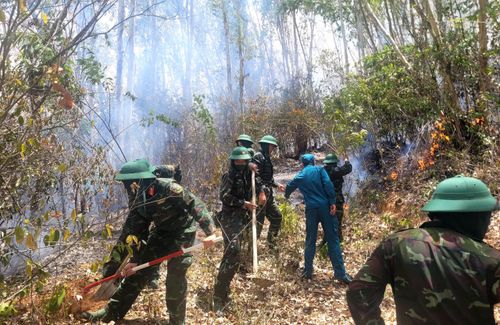 Lực lượng quân đội đang tạo ranh cản lửa, không cho đám cháy lan xuống khu dân cư