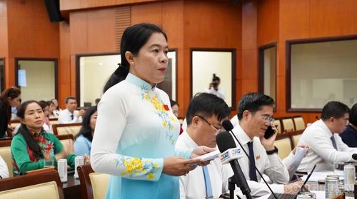 Đại biểu phát biểu ý kiến tại kỳ họp.