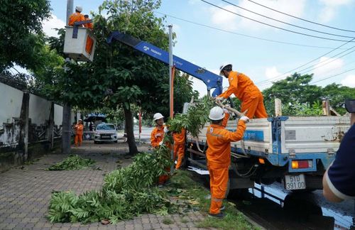 Cắt tỉa nhánh cây để đảm bảo hành lang an toàn lưới điện