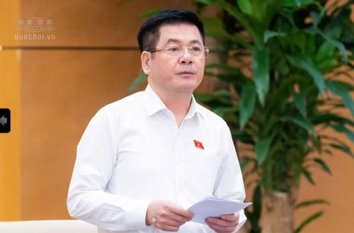  Phó Chủ tịch Quốc hội Nguyễn Hồng Diên. Ảnh: QH 