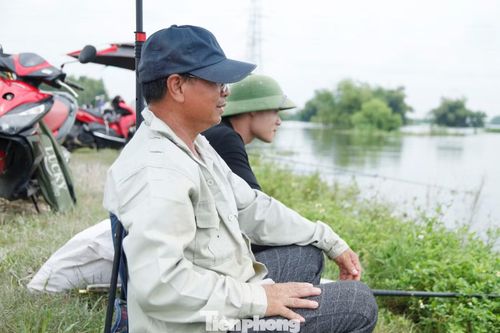 Anh Phúc - một "cần thủ" cho biết, mấy ngày qua, khu vực này rất đông người đến câu cá. Ngày cao điểm có gần trăm cần thủ câu cá.