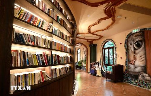 Quang cảnh thư viện trong hố sụt tự nhiên ở huyện Vụ Nguyên, tỉnh Giang Tây, Trung Quốc, ngày 26/8/2026. (Ảnh: THX/TTXVN phát)