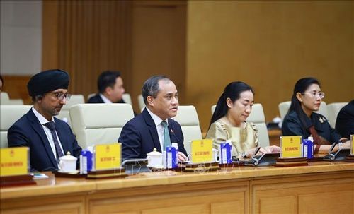 Đại sứ các nước ASEAN tại Việt Nam tham dự buổi tiếp. Ảnh: Dương Giang/TTXVN.