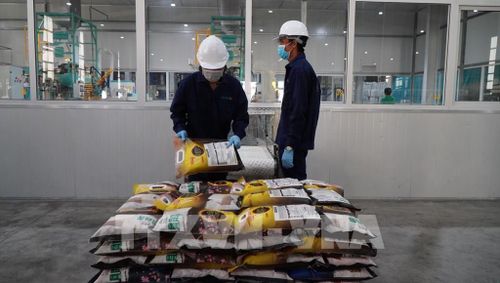 Hoạt động sản xuất tại Công ty TNHH lúa gạo Việt Nam (Vinarice). Ảnh: Nhựt An - TTXVN