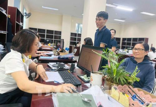 Ngành thuế thực hiện rà soát làm sạch mã số thuế. Ảnh: Hoàng Ngọc – TTXVN 