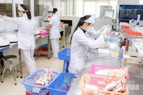 Mỗi đơn vị máu được tiếp nhận phải trải qua nhiều công đoạn theo quy trình chặt chẽ trước khi được điều chế thành các chế phẩm phù hợp để sử dụng cho người bệnh.