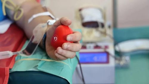 Các nhà khoa học Trung Quốc đã phát triển một robot mềm siêu nhỏ có khả năng điều khiển dòng máu. Ảnh: Science Advances.