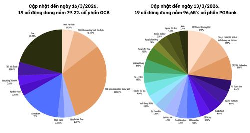  Cơ cấu sở hữu cô đặc tại OCB và PGBank. Ảnh: T.D tổng hợp từ BCTC
