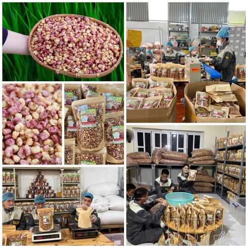 Chị Cà Thị Hoa, phường Mường Thanh phát triển sản phẩm ngô nếp sấy.