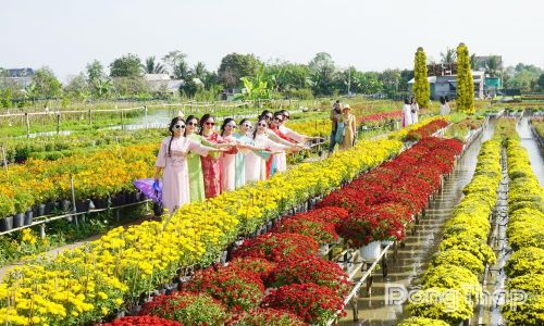 Làng hoa Sa Đéc - nét đặc trưng riêng của Sa Đéc ngày nay.