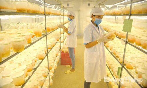 Chính quyền địa phương luôn tạo điều kiện thuận lợi để doanh nghiệp sản xuất kinh doanh, góp phần thúc đẩy kinh tế phát triển.