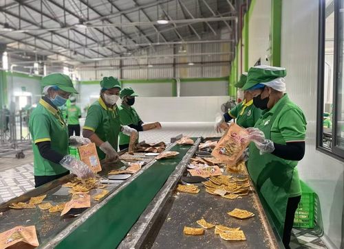 Cùng với nghiên cứu, hoàn thiện máy móc, thiết bị, Công ty CP IPP Sachi sử dụng các công cụ AI hỗ trợ quản lý chất lượng và sản xuất. Ảnh: Hồ Điểm