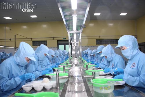 Hoạt động sản xuất tại Công ty TNHH Nhà nước Một thành viên Yến sào Khánh Hòa. Ảnh: VĂN GIANG