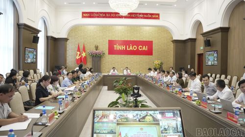 Các đại biểu dự hội nghị tại điểm cầu Lào Cai.