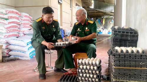 Cựu chiến binh Lê Thành Đồng giới thiệu sản phẩm trứng vịt từ mô hình chăn nuôi của gia đình.