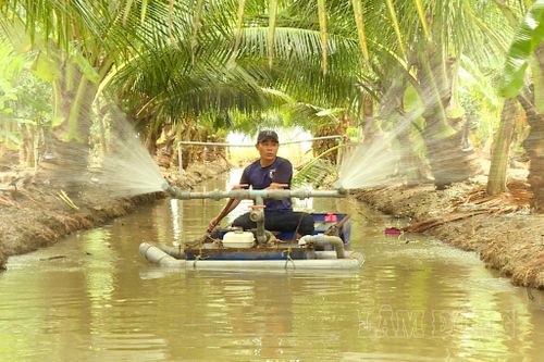 Anh Tạ Văn Thuyết tự sáng tạo thuyền tưới từ hệ thống mương sẵn có, giúp giảm công sức và thời gian chăm sóc vườn dừa và hoa màu.