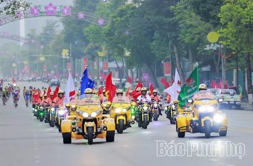 Việc đăng cai tổ chức thành công các giải thể thao lớn góp phần tạo nên diện mạo văn hóa sôi động trên địa bàn tỉnh.