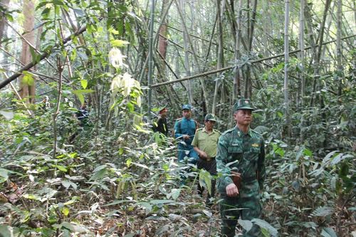 Cán bộ Đồn Biên phòng Bù Gia Mập phối hợp cùng lực lượng Công an địa phương tổ chức tuần tra khu vực biên giới - Ảnh Trần Danh.
