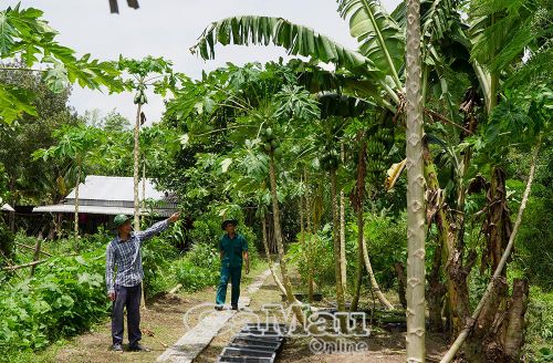  Anh Phạm Duy Khanh, Chủ Điểm du lịch sinh thái Mười Ngọt (bên trái), chăm sóc những loại cây ăn trái trồng trong khuôn viên, chuẩn bị phục vụ du khách dịp lễ.
