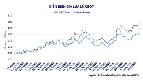 Diễn biến giá lúa mì CBOT. Nguồn: MXV