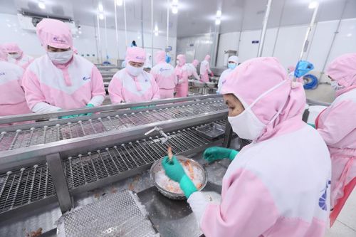 Những thay đổi về xu hướng tiêu dùng đang tạo thêm không gian phát triển cho thủy sản tại thị trường nội địa. Ảnh: Quang Vinh
