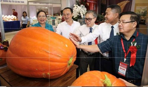 Hội chợ quy tụ khoảng 200 gian hàng