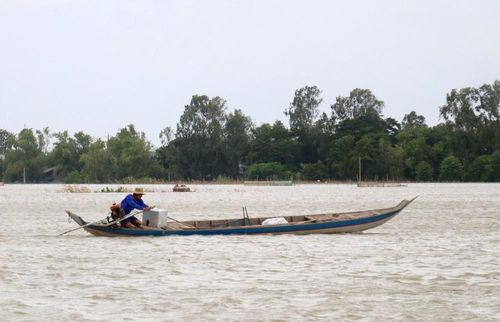 Người dân xã Phú Hữu (tỉnh An Giang) mưu sinh trên cánh đồng ngập lũ. Ảnh: Công Mạo-TTXVN