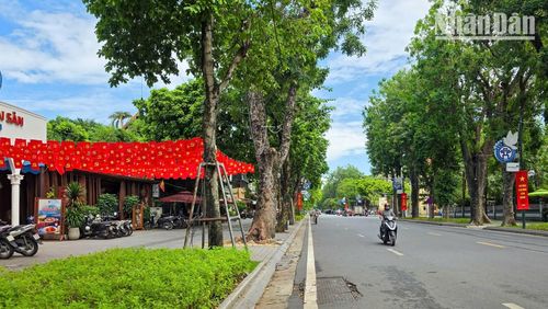 Sắc đỏ ấy không đơn thuần là màu sắc trang trí, mà là biểu tượng của độc lập, tự do, của niềm tự hào dân tộc và lòng biết ơn sâu sắc hướng về lịch sử.
