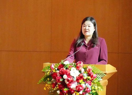 Đồng chí Hà Lan Anh, Phó Chủ tịch Ủy ban nhân dân tỉnh Ninh Bình, phát biểu chỉ đạo tại hội nghị. (Ảnh: HÀ NAM)