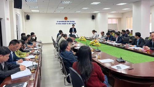  Sở Nông nghiệp và Môi trường đề nghị các đơn vị quản lý chặt chẽ rừng. (ẢNH: QUÝ NGỌC) 