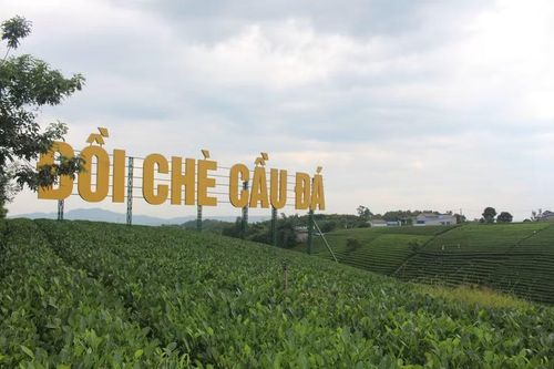 Xã La Bằng, tỉnh Thái Nguyên hiện có diện tích 1.135,7ha chè.
