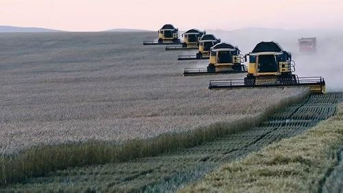 Nga và Ukraine chiếm hơn một phần tư tổng lượng lúa mì xuất khẩu toàn cầu. Ảnh minh họa: Theo Western Producer.